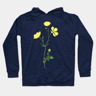 yellow buttercup flower watercolor Hoodie